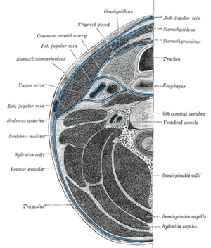 thumbnail of dbpedia resource