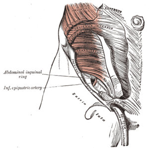 thumbnail of dbpedia resource