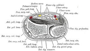 thumbnail of dbpedia resource