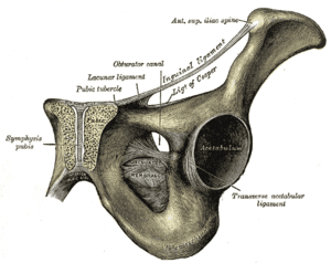 thumbnail of dbpedia resource