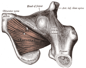 thumbnail of dbpedia resource