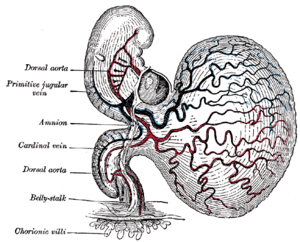 thumbnail of dbpedia resource