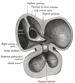 thumbnail of dbpedia resource