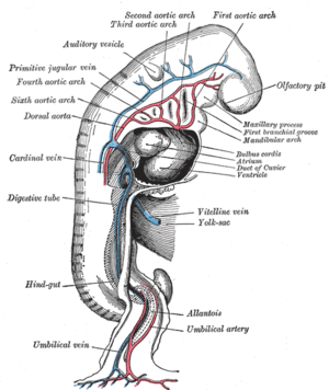 thumbnail of dbpedia resource