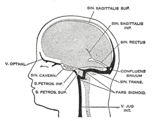 thumbnail of dbpedia resource