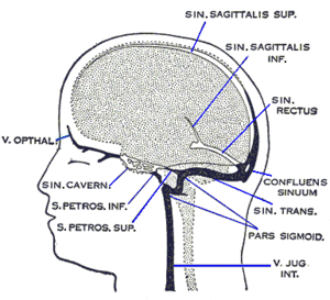 thumbnail of dbpedia resource