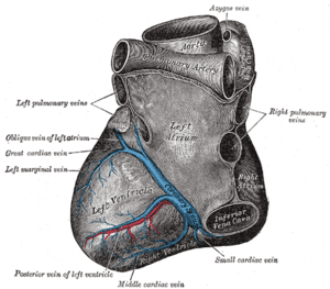 thumbnail of dbpedia resource