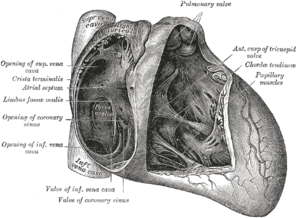 thumbnail of dbpedia resource