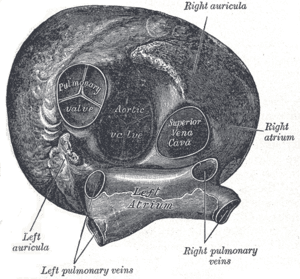 thumbnail of dbpedia resource