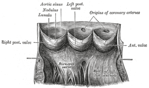 thumbnail of dbpedia resource