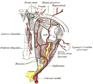 thumbnail of dbpedia resource