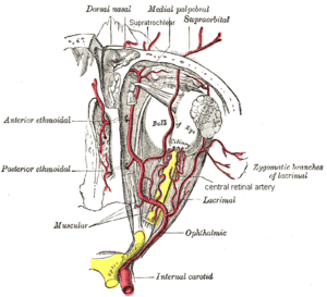 thumbnail of dbpedia resource