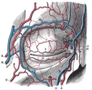 thumbnail of dbpedia resource