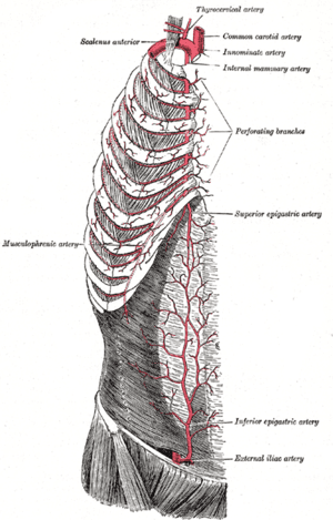 thumbnail of dbpedia resource