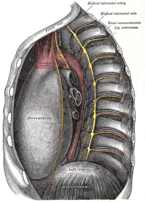 thumbnail of dbpedia resource