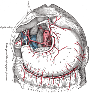 thumbnail of dbpedia resource