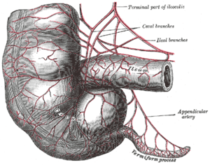 thumbnail of dbpedia resource