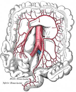 thumbnail of dbpedia resource