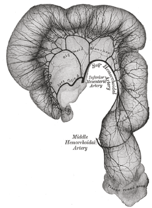 thumbnail of dbpedia resource