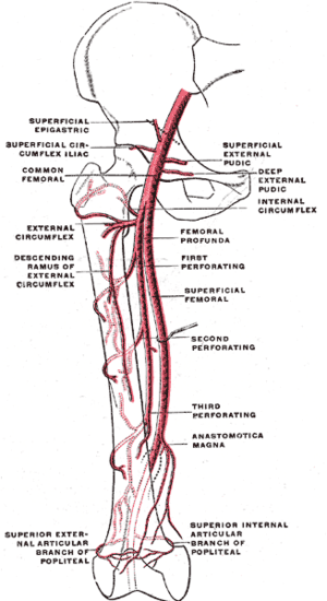 thumbnail of dbpedia resource