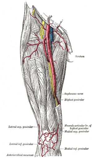 thumbnail of dbpedia resource