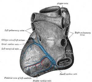 thumbnail of dbpedia resource