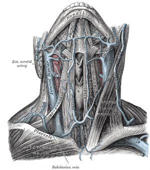 thumbnail of dbpedia resource