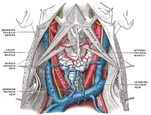 thumbnail of dbpedia resource