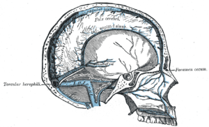 thumbnail of dbpedia resource