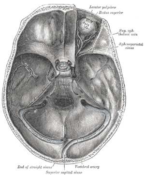 thumbnail of dbpedia resource