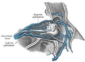 thumbnail of dbpedia resource