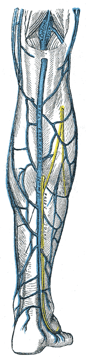 thumbnail of dbpedia resource