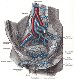 thumbnail of dbpedia resource