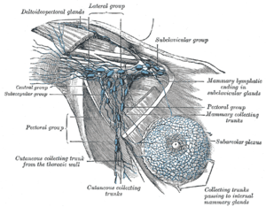 thumbnail of dbpedia resource