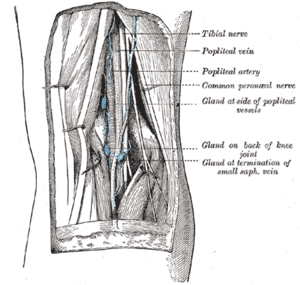 thumbnail of dbpedia resource