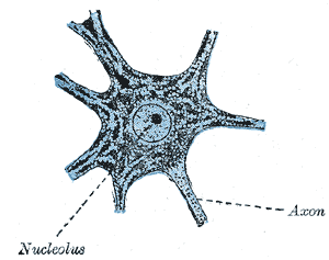 thumbnail of dbpedia resource