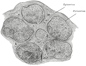 thumbnail of dbpedia resource