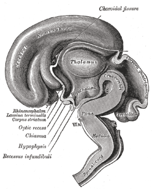 thumbnail of dbpedia resource