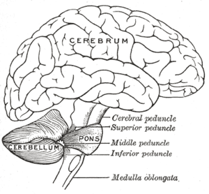 thumbnail of dbpedia resource