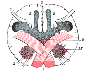 thumbnail of dbpedia resource