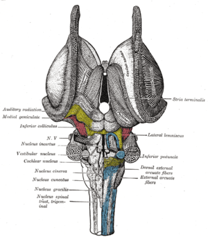 thumbnail of dbpedia resource