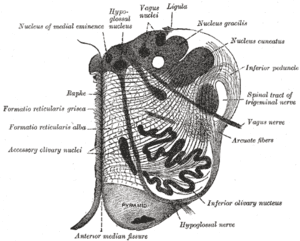 thumbnail of dbpedia resource