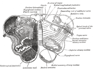 thumbnail of dbpedia resource