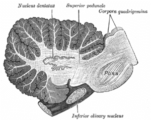 thumbnail of dbpedia resource