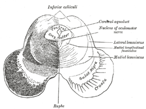 thumbnail of dbpedia resource