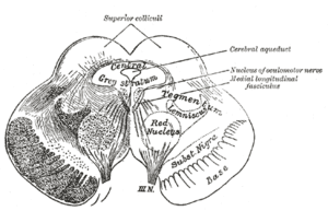 thumbnail of dbpedia resource