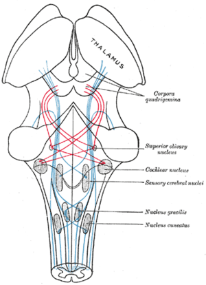 thumbnail of dbpedia resource