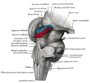 thumbnail of dbpedia resource