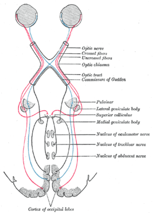 thumbnail of dbpedia resource