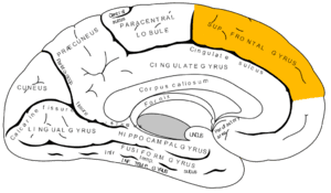 thumbnail of dbpedia resource